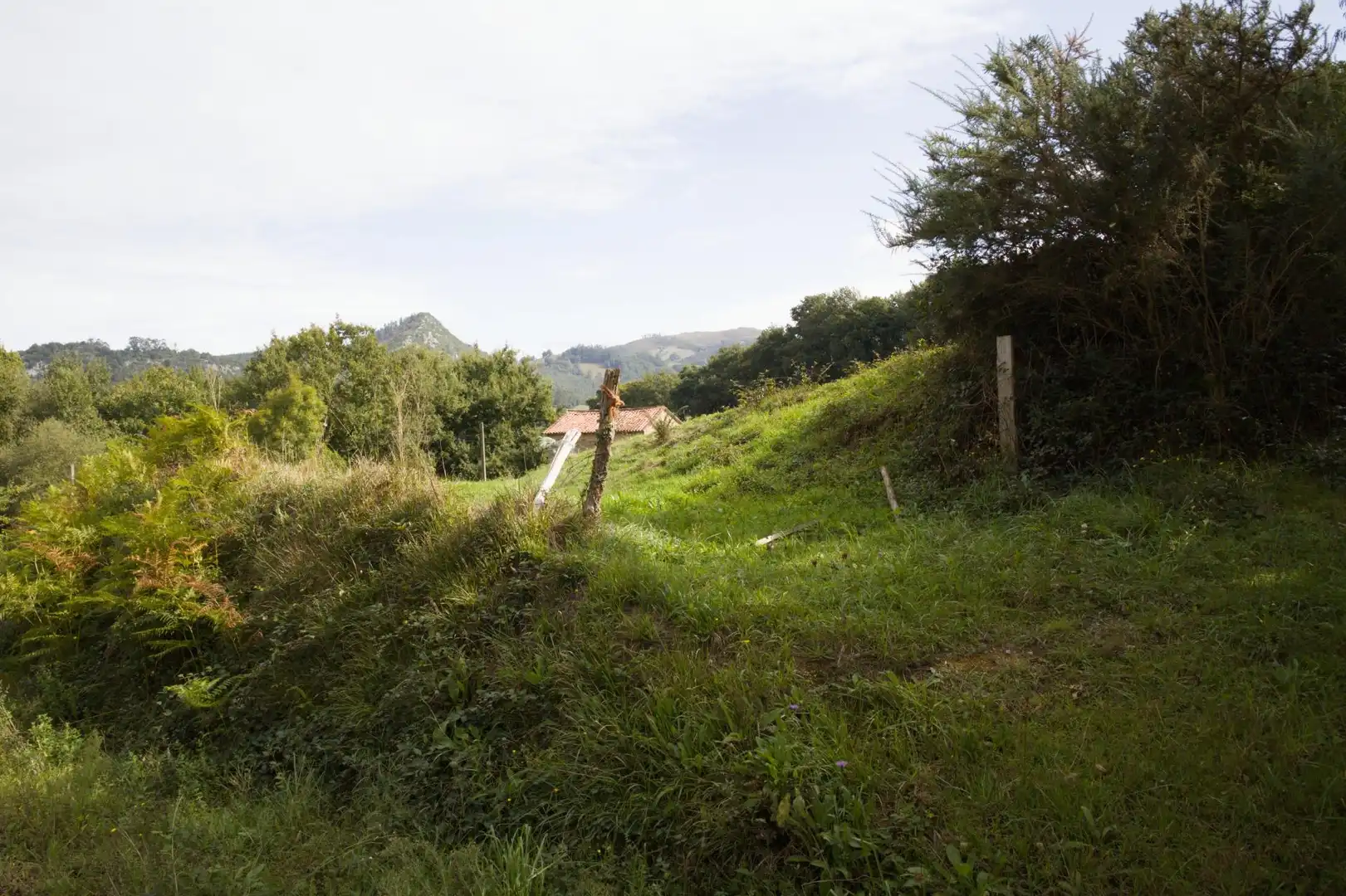 Rural land for sale in Barrio Aes, imagen 27