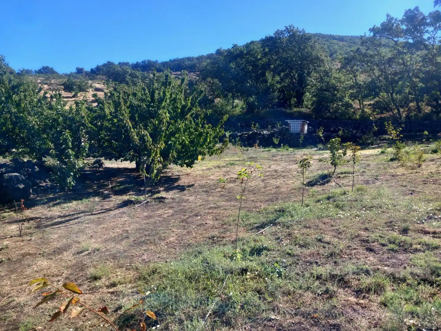 Terreno en venta en Gargantilla