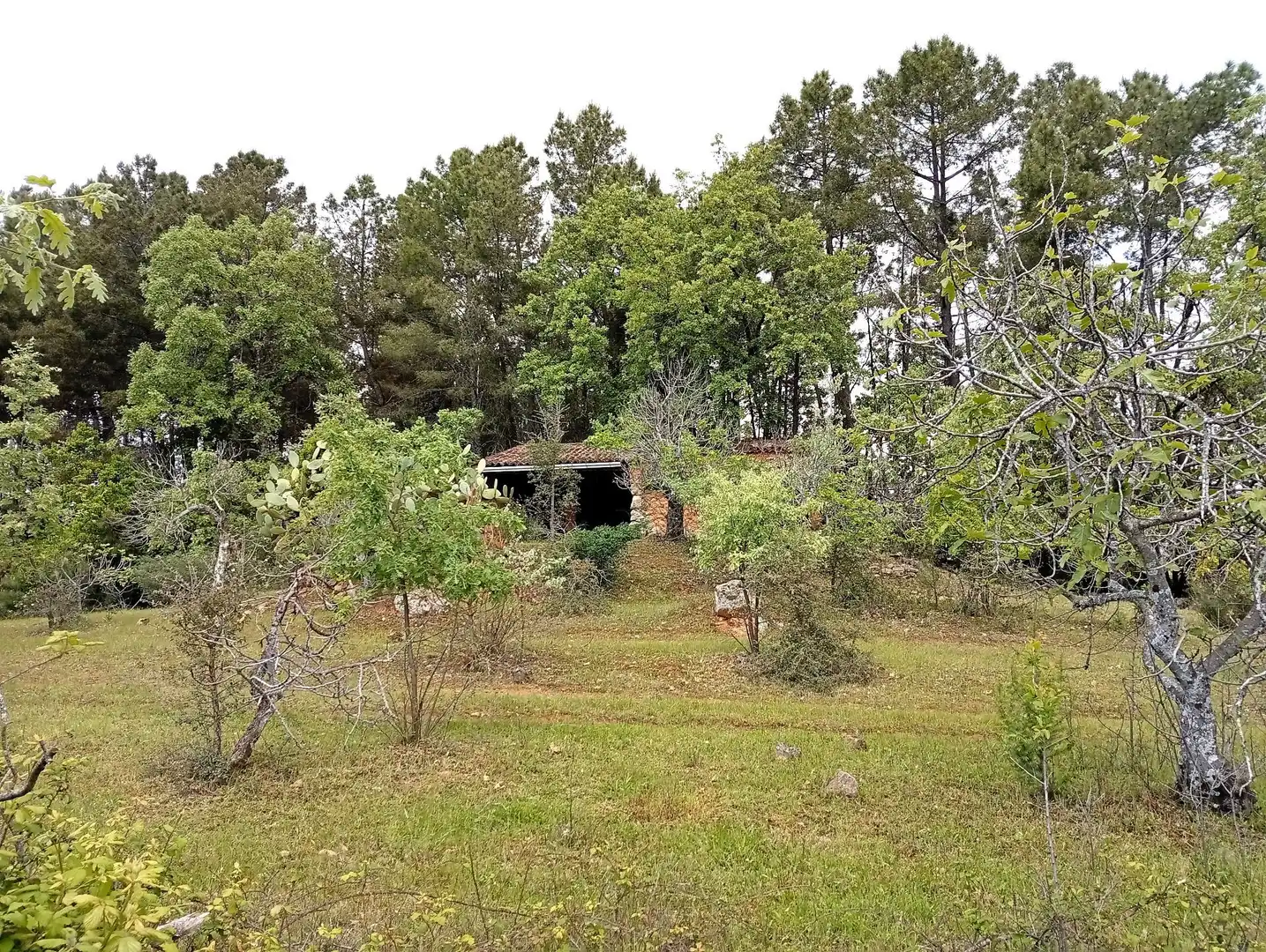 Terreni e lotti in vendita a Villanueva de la Vera, imagen 2