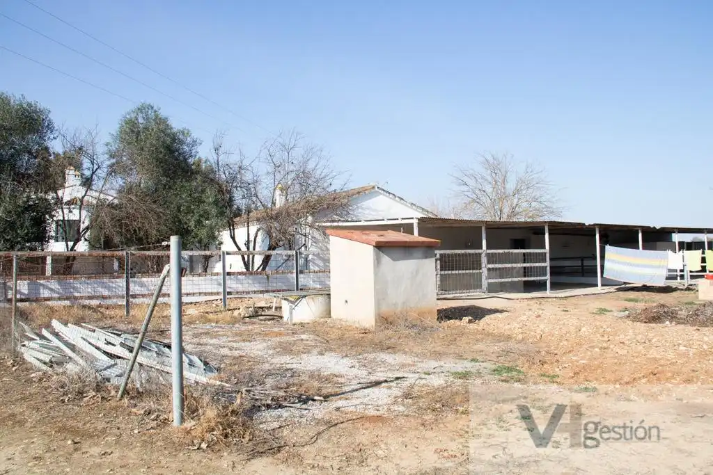 Finca rústica en venta en Bornos