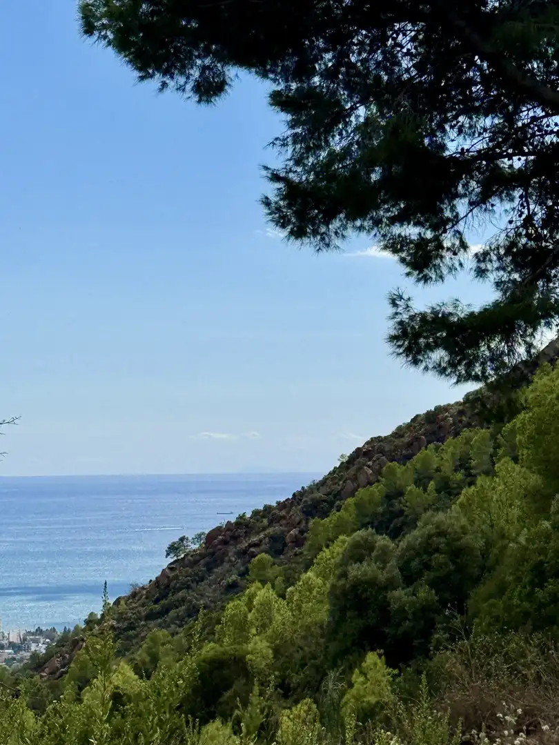 Vista exterior de Casa o chalet en venta en Benicasim / Benicàssim con Calefacción, Jardín privado y Terraza
