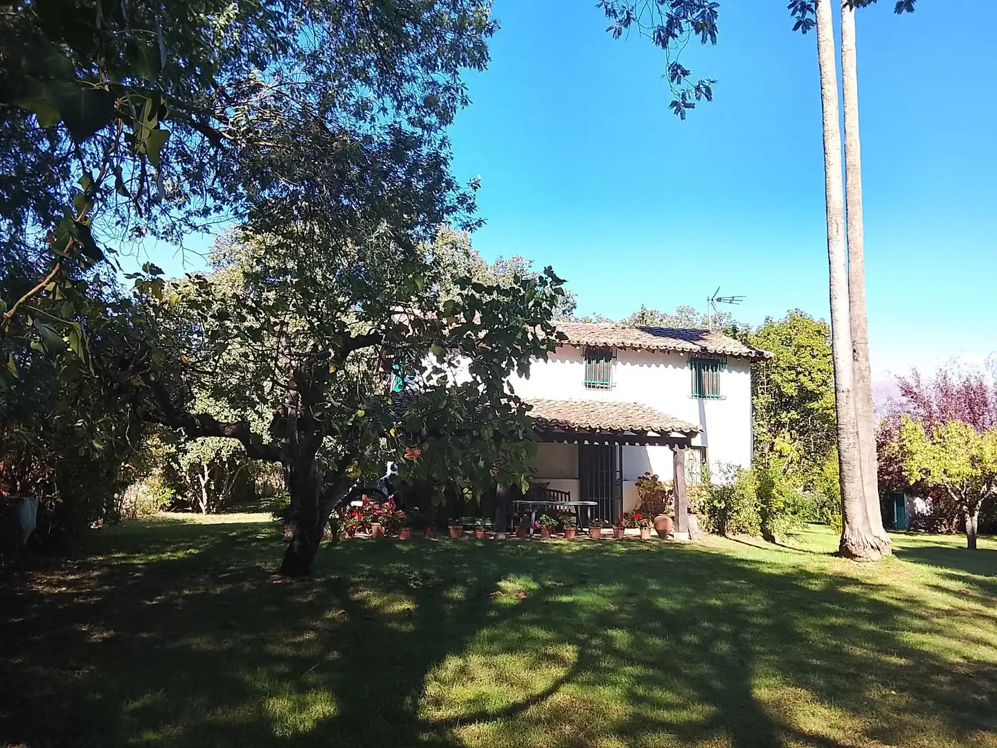 Haus mit Garten zum Verkauf in Madrigal de la Vera, imagen 132