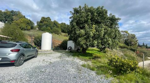 Foto 4 de Finca rústica en venta en Almayate, Vélez-Málaga