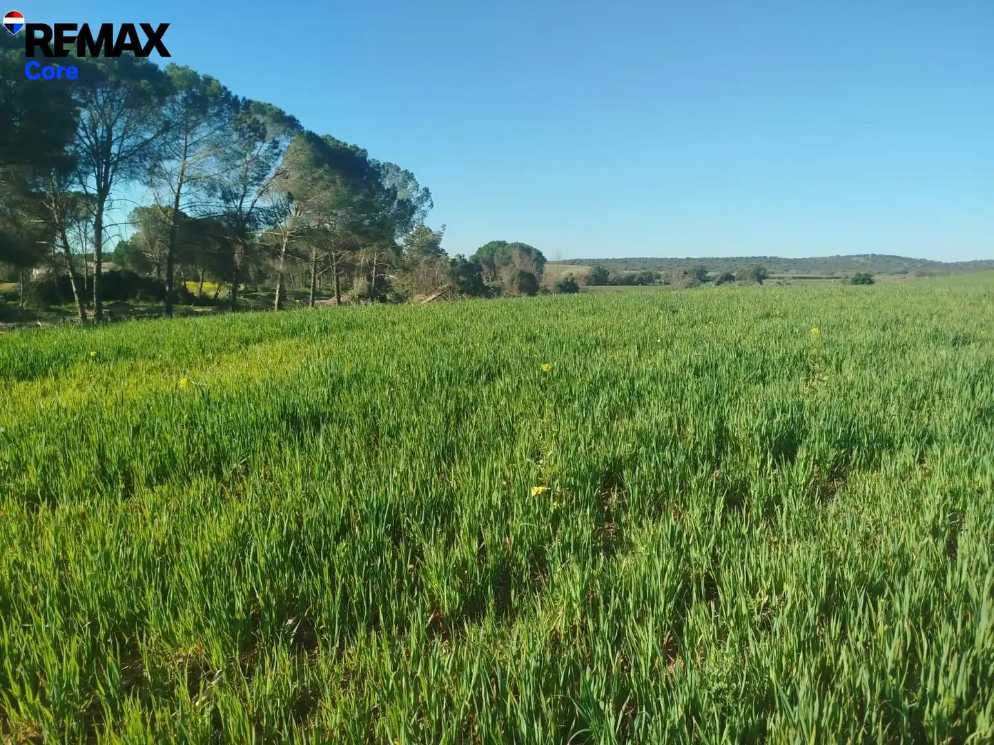 Land for sale in Mérida