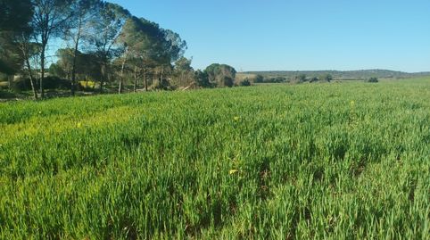 Foto 2 von Grundstücke zum Verkauf in Este, Mérida