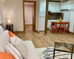 Living room of Loft for sale in Donostia - San Sebastián   with Heating and Furnished