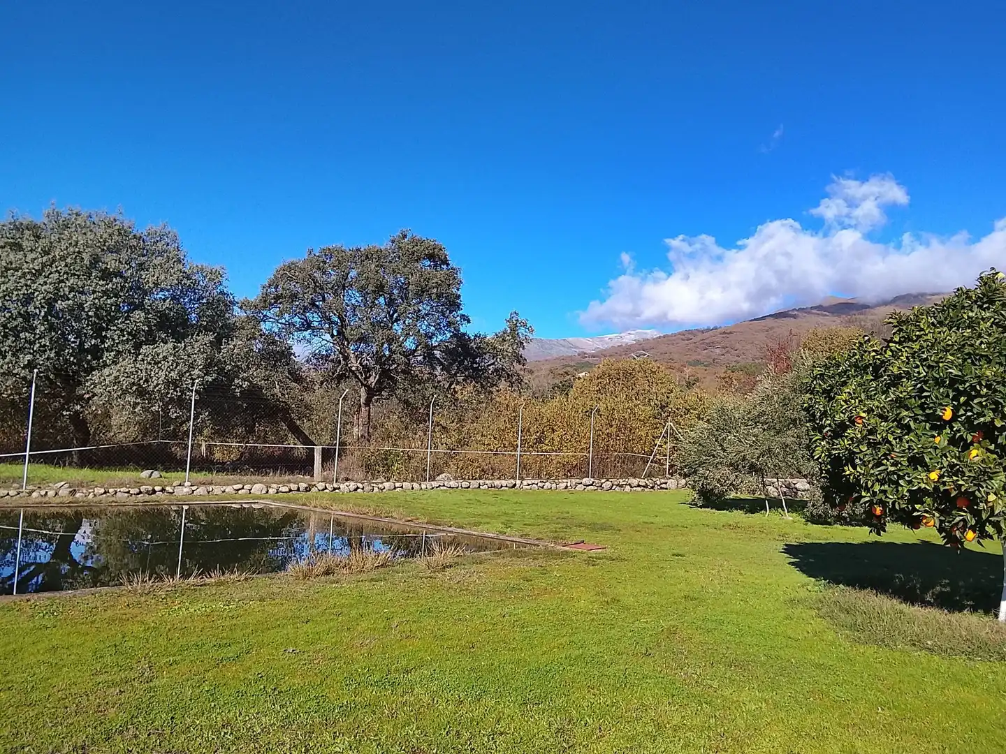 Jardín de Terreno en venta en Candeleda
