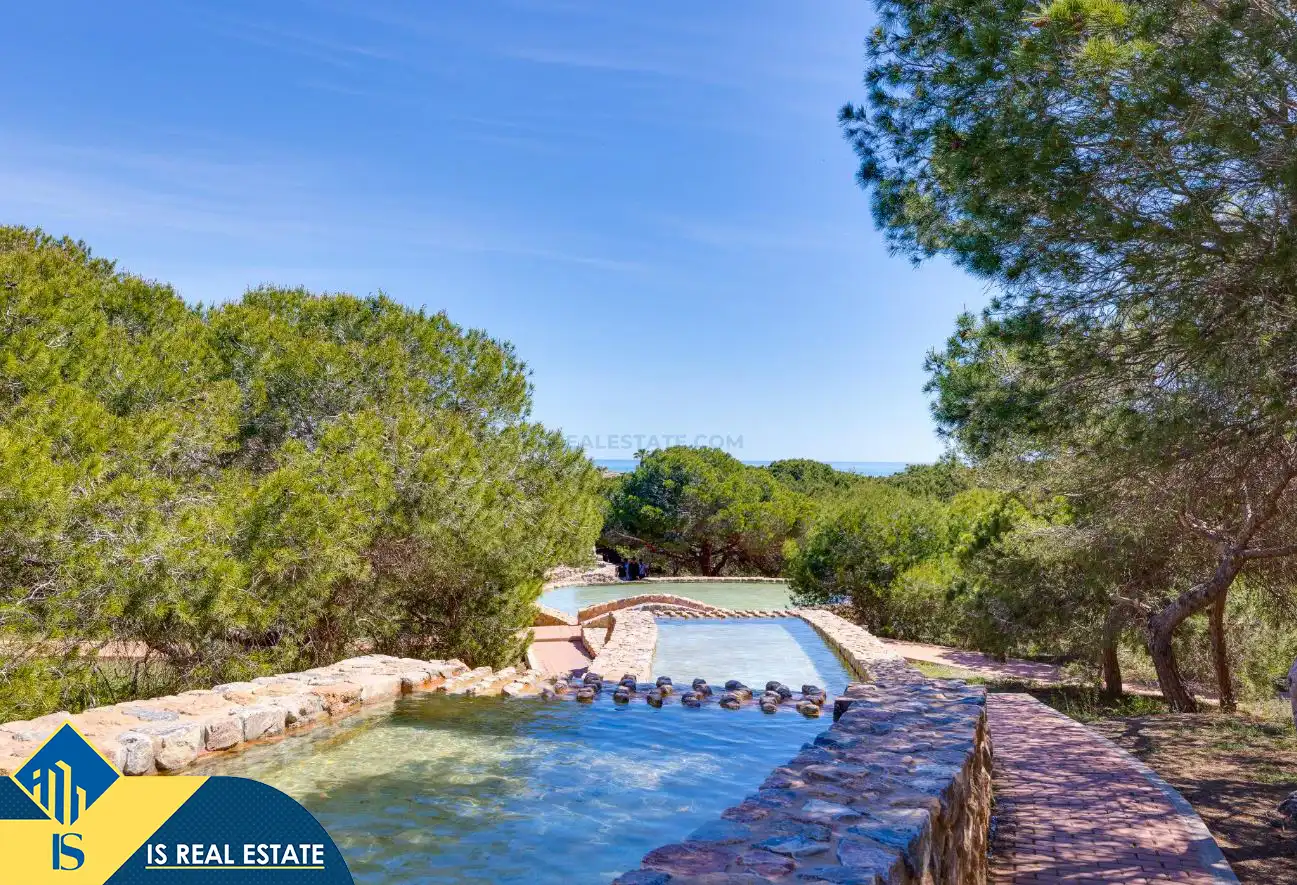 Swimming pool of Apartments for sale in Torrevieja  with Heating, Terrace and Furnished