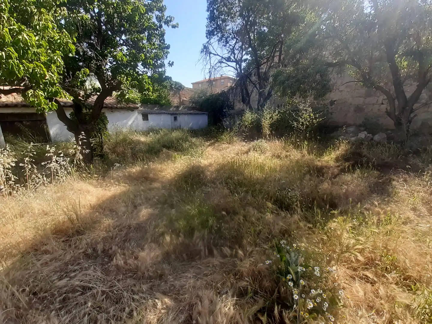 Terreny residencial en venda a Calle Pilatos, imagen 10