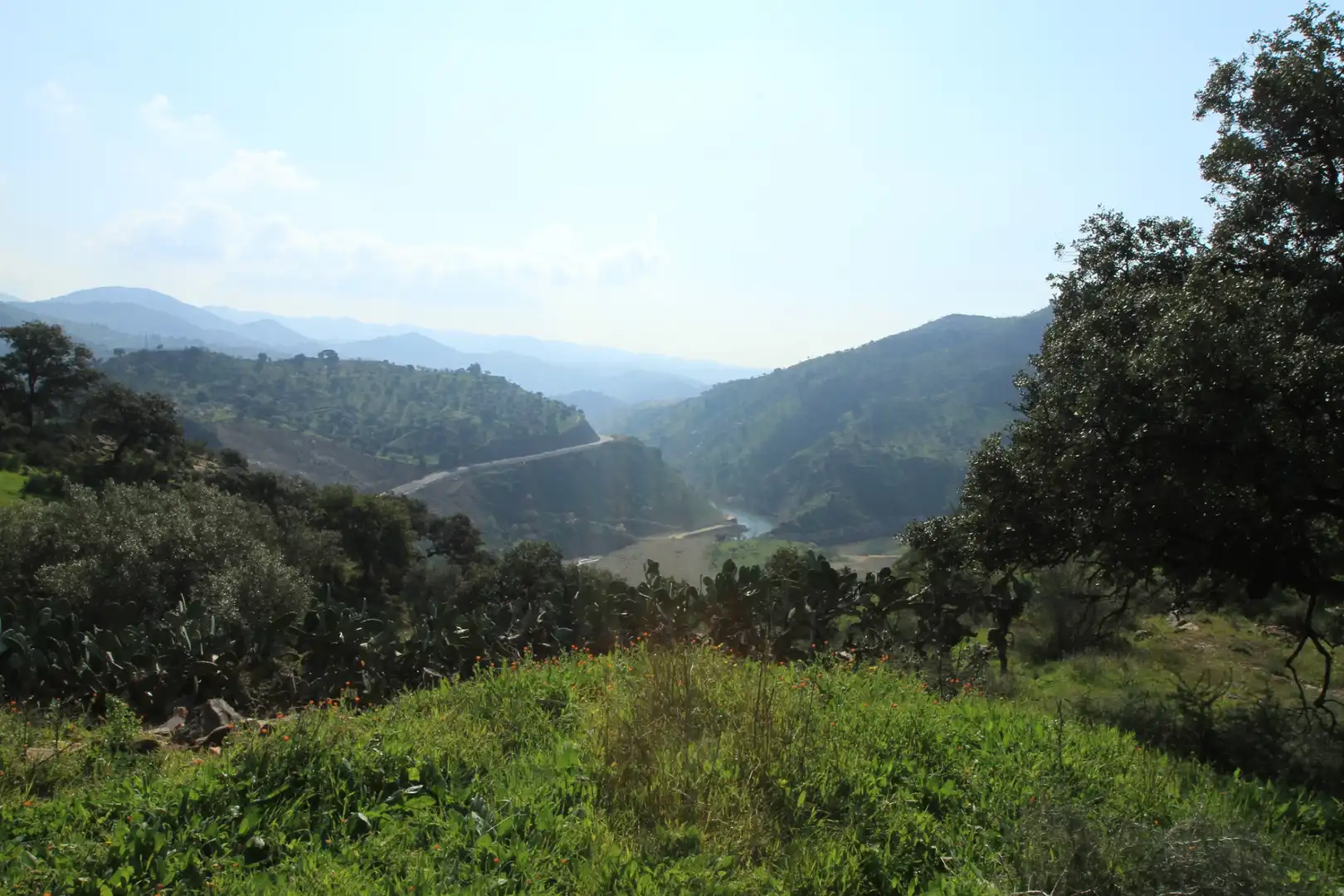 Terreno rústico en venta en Almogía, imagen 4