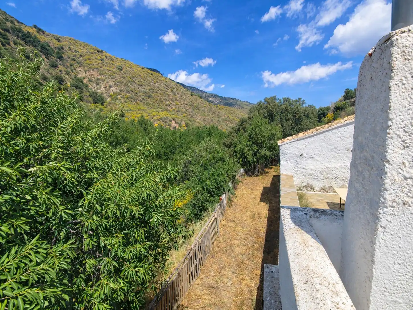 Vista exterior de Finca rústica en venta en Sierro