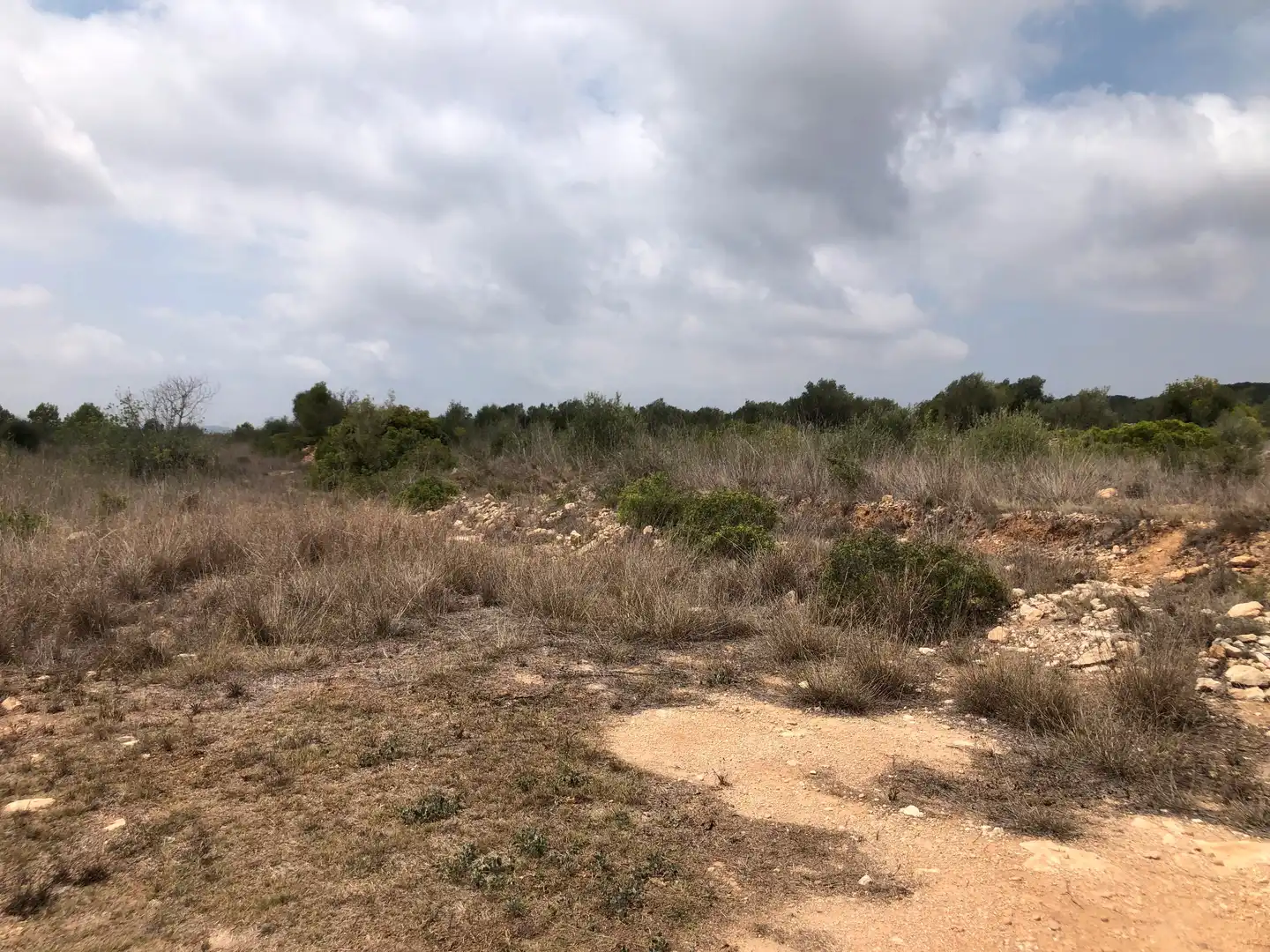 Terreno rústico en venta en Camí de Masllorenç, imagen 7