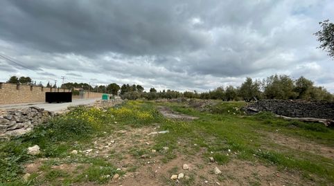 SE VENDE SOLAR EN SAN BARTOLOME
