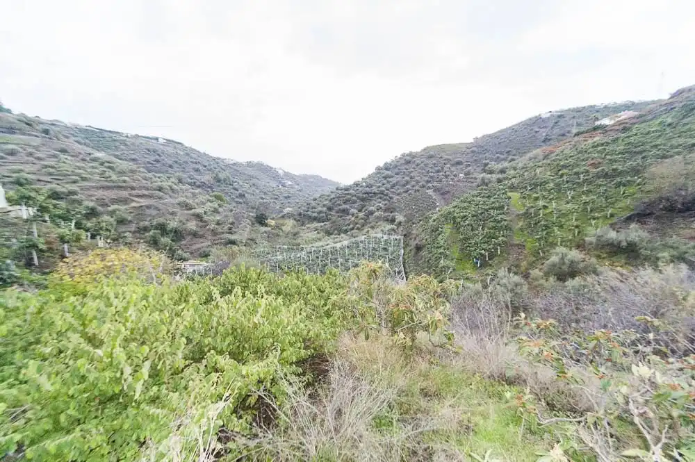 Casa con jardín en venta en Torrox Pueblo, imagen 6