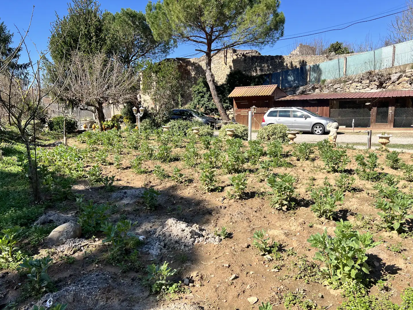 Casa o xalet en venda a Carme - Vistalegre