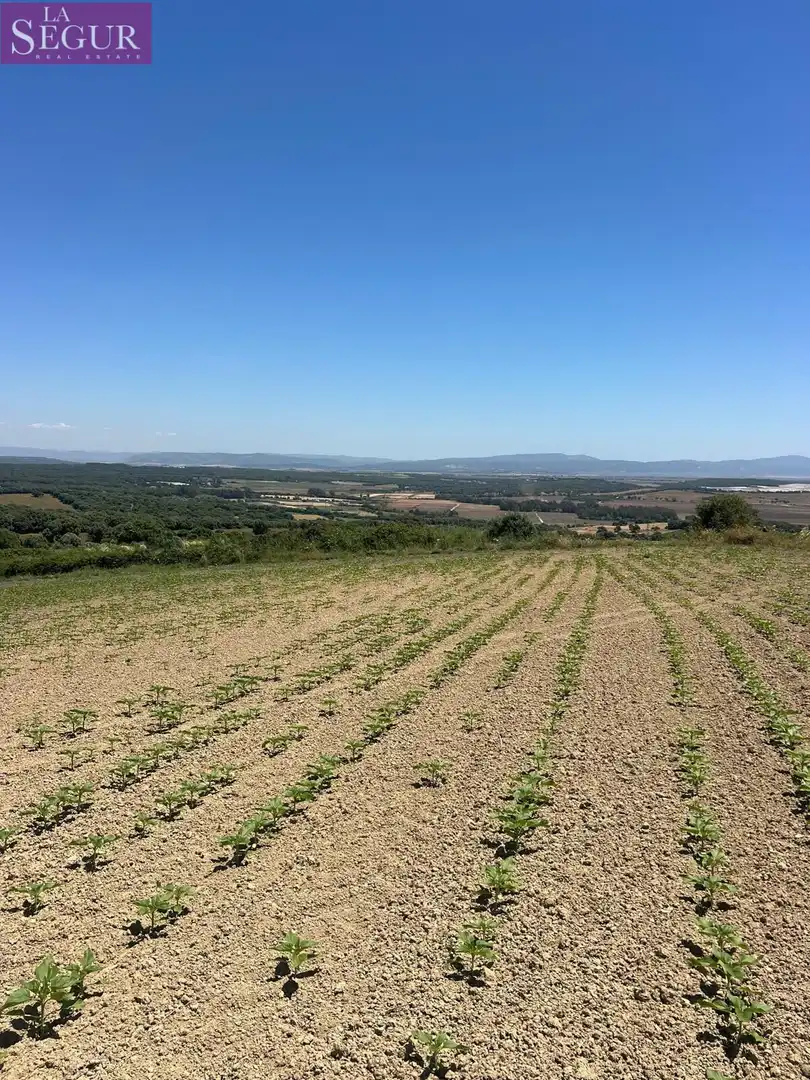Terreni e lotti in vendita a Vejer, imagen 16
