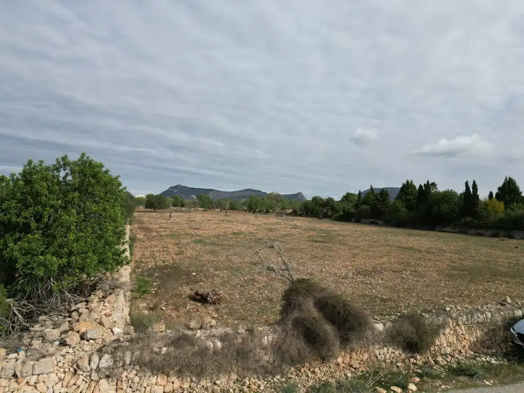 Terreno rustico in vendita a Llucmajor pueblo, imagen 15