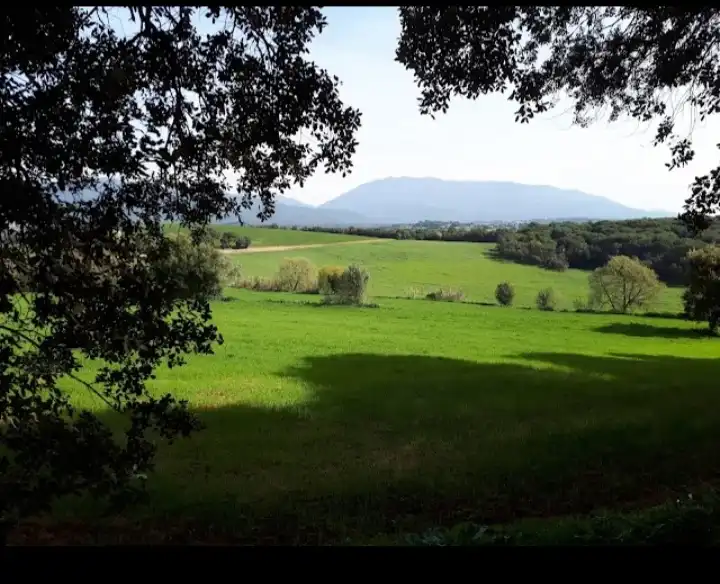 Residential land for sale in Carrer de Matagalls 81, imagen 17