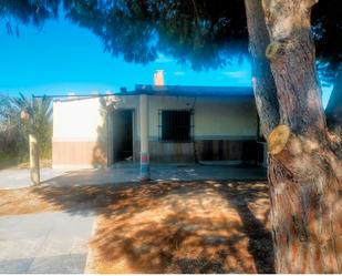 Exterior view of House or chalet for sale in Elche / Elx