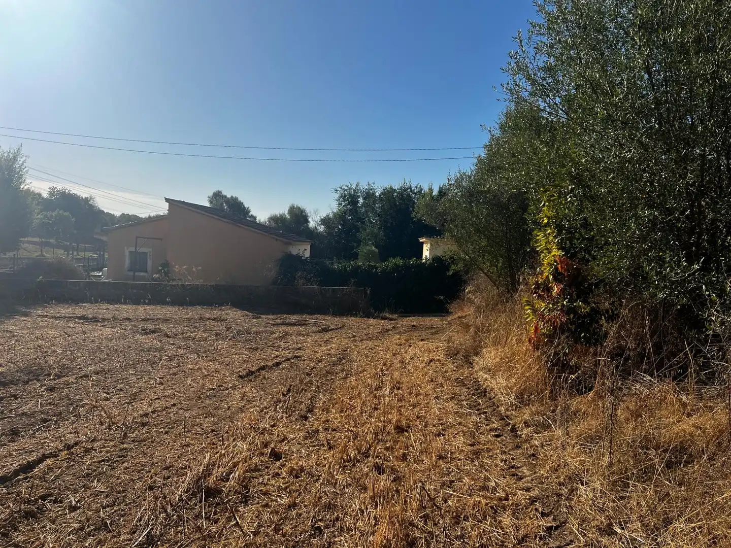 Maison rustique à vendre à Campanet, imagen 5