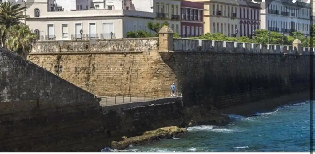 Wohnung mit Terrasse zum Verkauf in La Caleta - La Viña, imagen 14