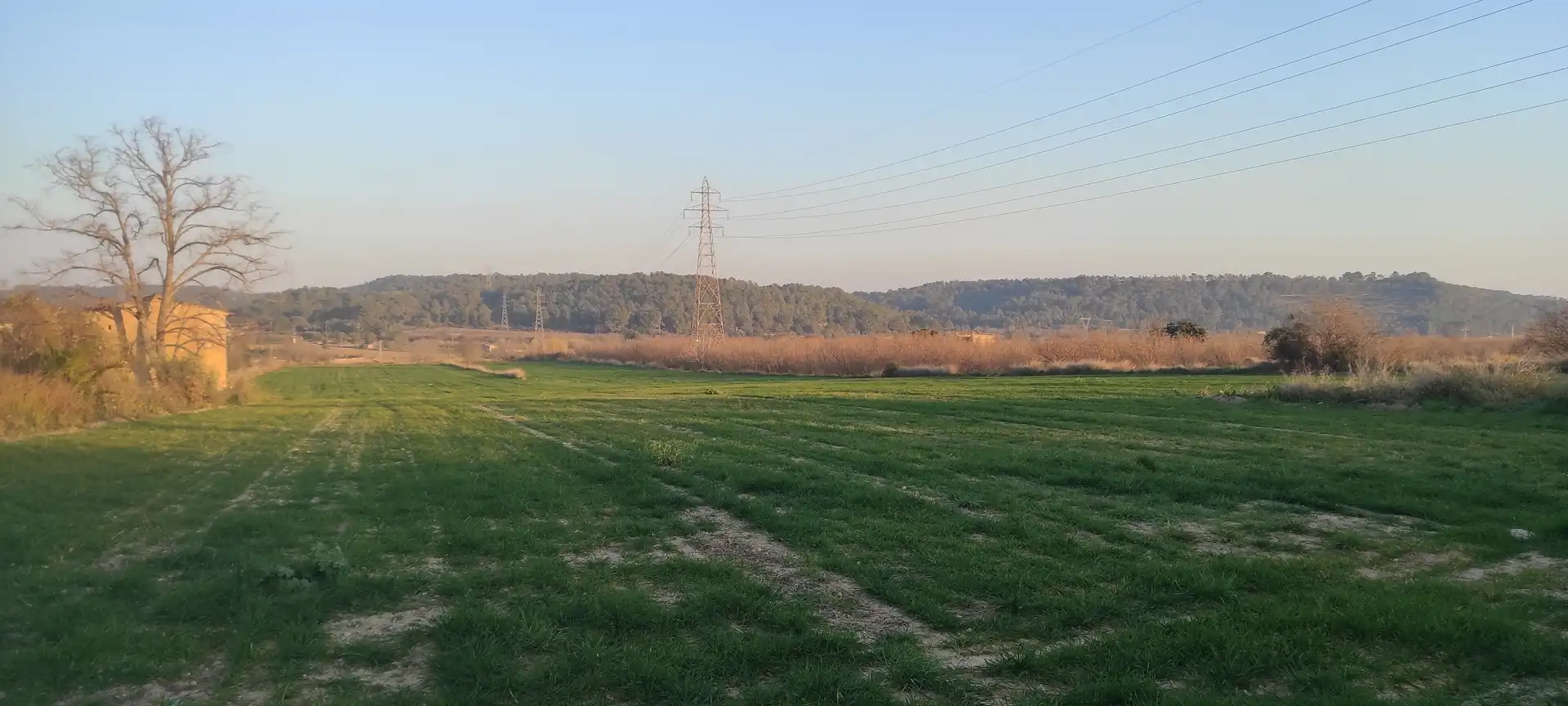 Terreny rústic en venda a Carretera Maso la a Vallmoll 1, imagen 5
