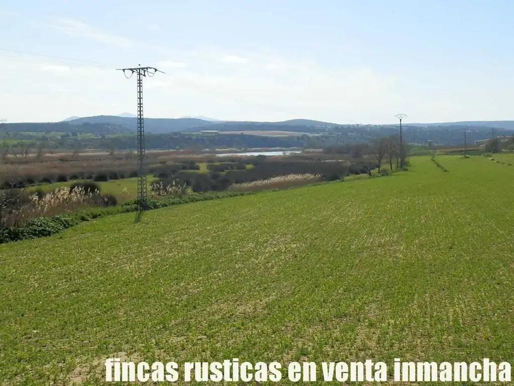Terreno rustico in vendita a Casco Histórico, imagen 8