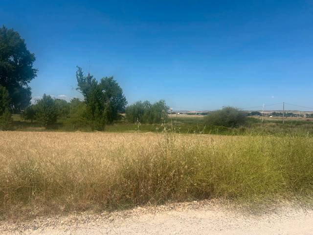 Terreno en Venta en N/A en Valdetorres de Jarama