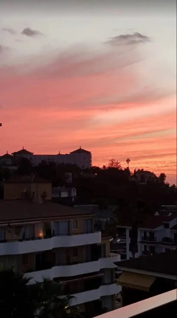 Apartamento de alquiler en Avenida Marqués de Villanueva del Prado, Zona Botánico