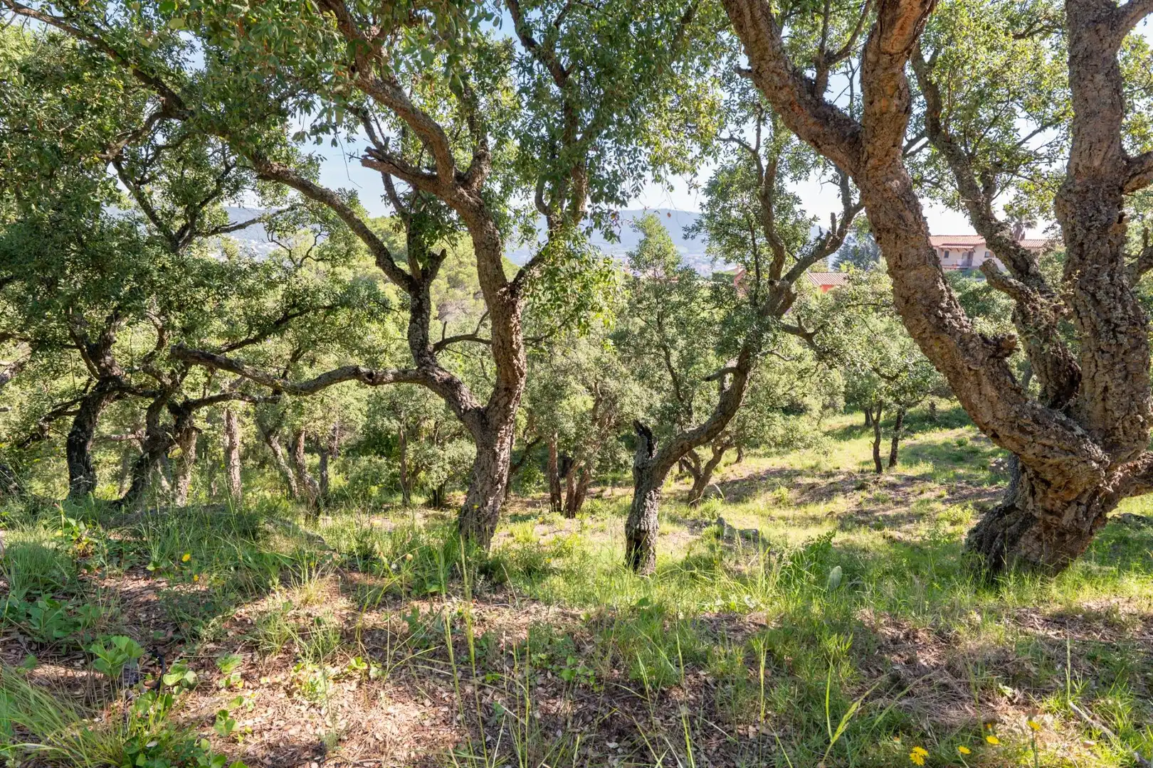 Residential land for sale in Carrer d'Isidre Nonell 62, imagen 10