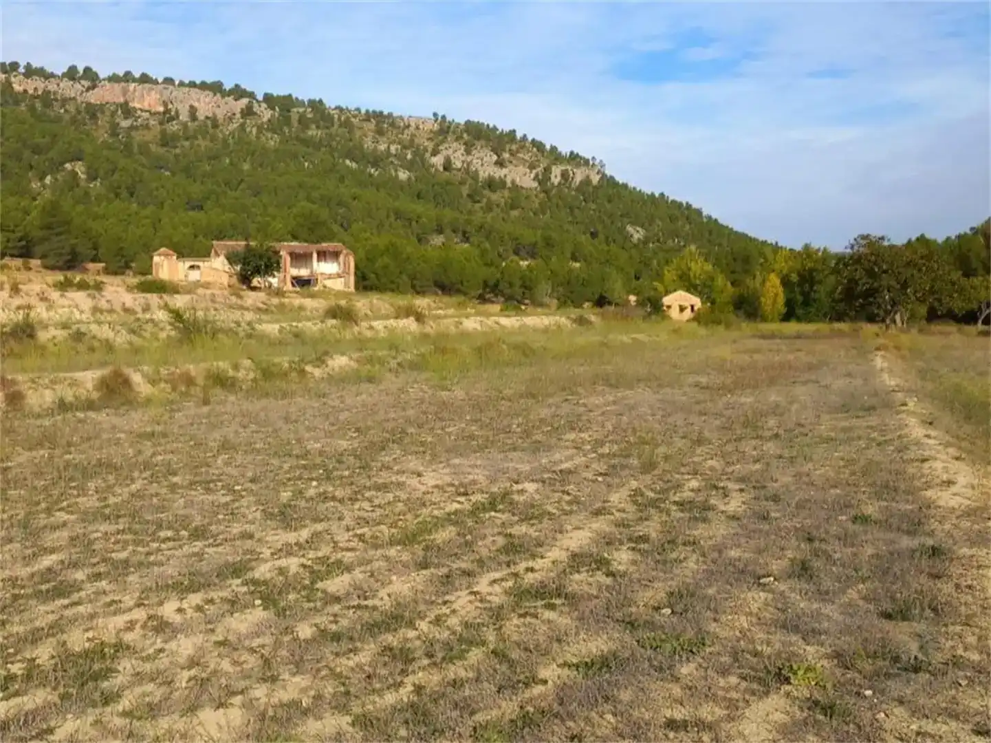 Terreno en venta en Letur