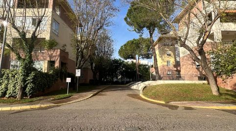 Foto 2 de Apartamento de alquiler en Ciudad Expo, Mairena del Aljarafe