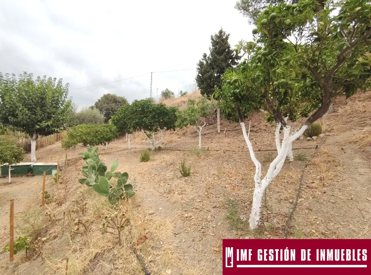 Finca rústica en venta en Vélez-Málaga con Jardín privado, Terraza y Trastero