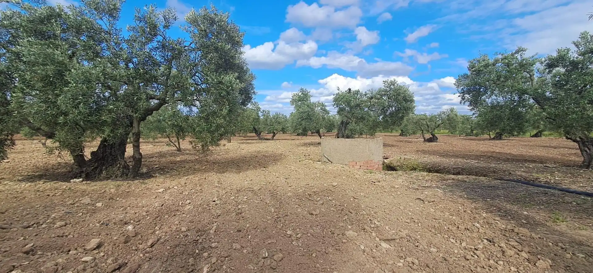 Terreno rustico in vendita a Pedanías Norte