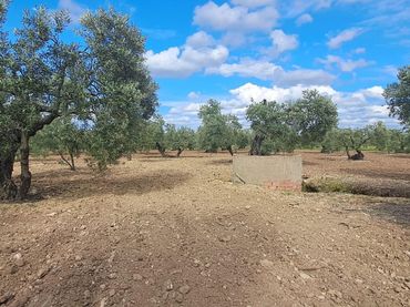 Terreno rustico in vendita a Pedanías Norte