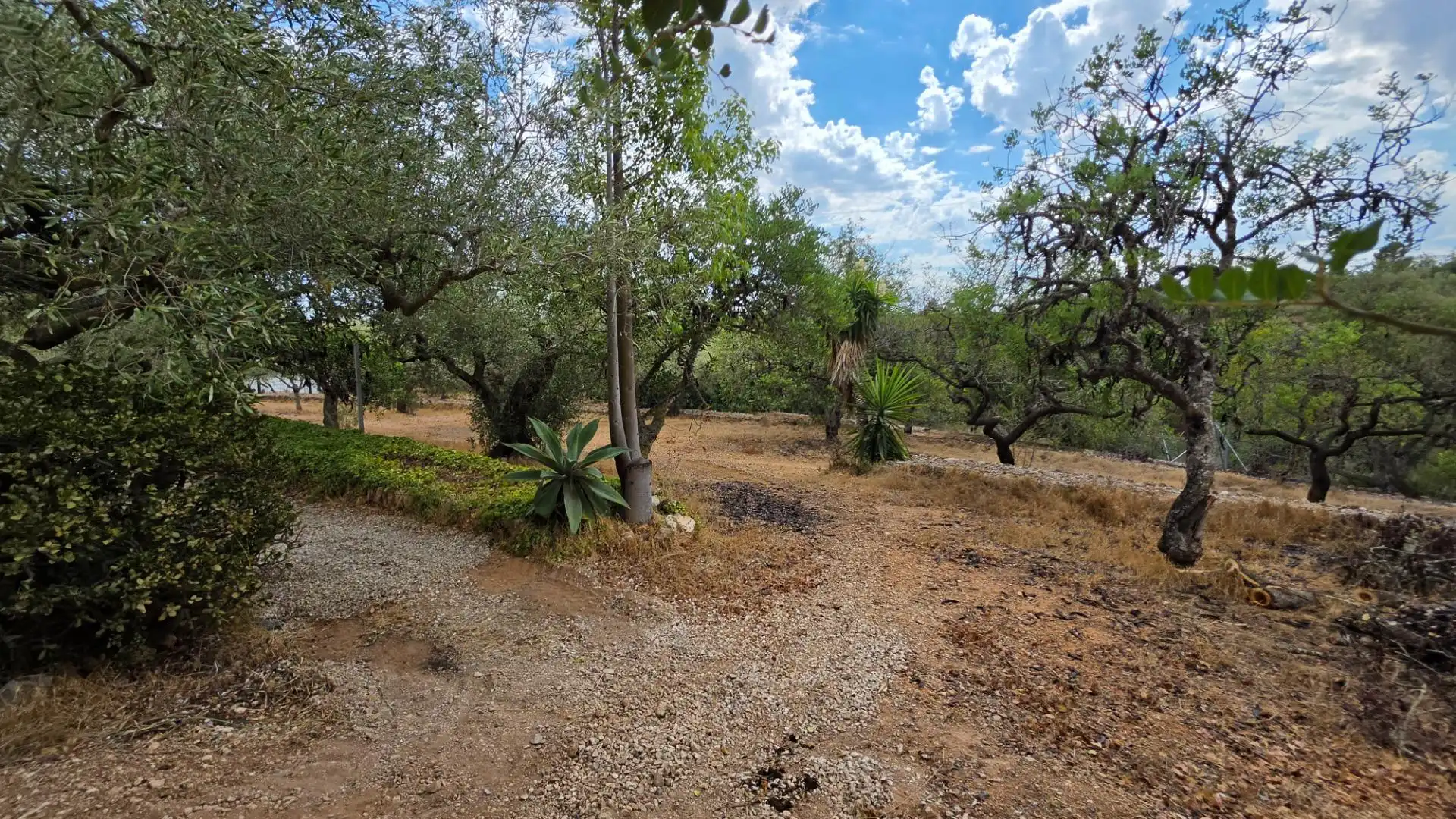 Maison rustique avec piscine à vendre à El Perelló, imagen 67