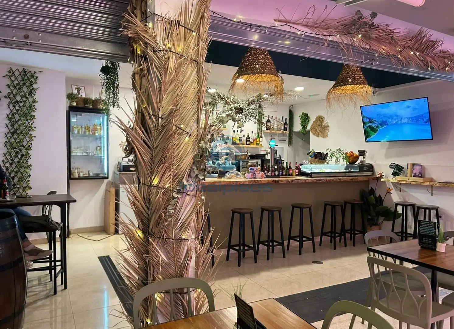 Local comercial en venda a Pla - Carolinas, imagen 3