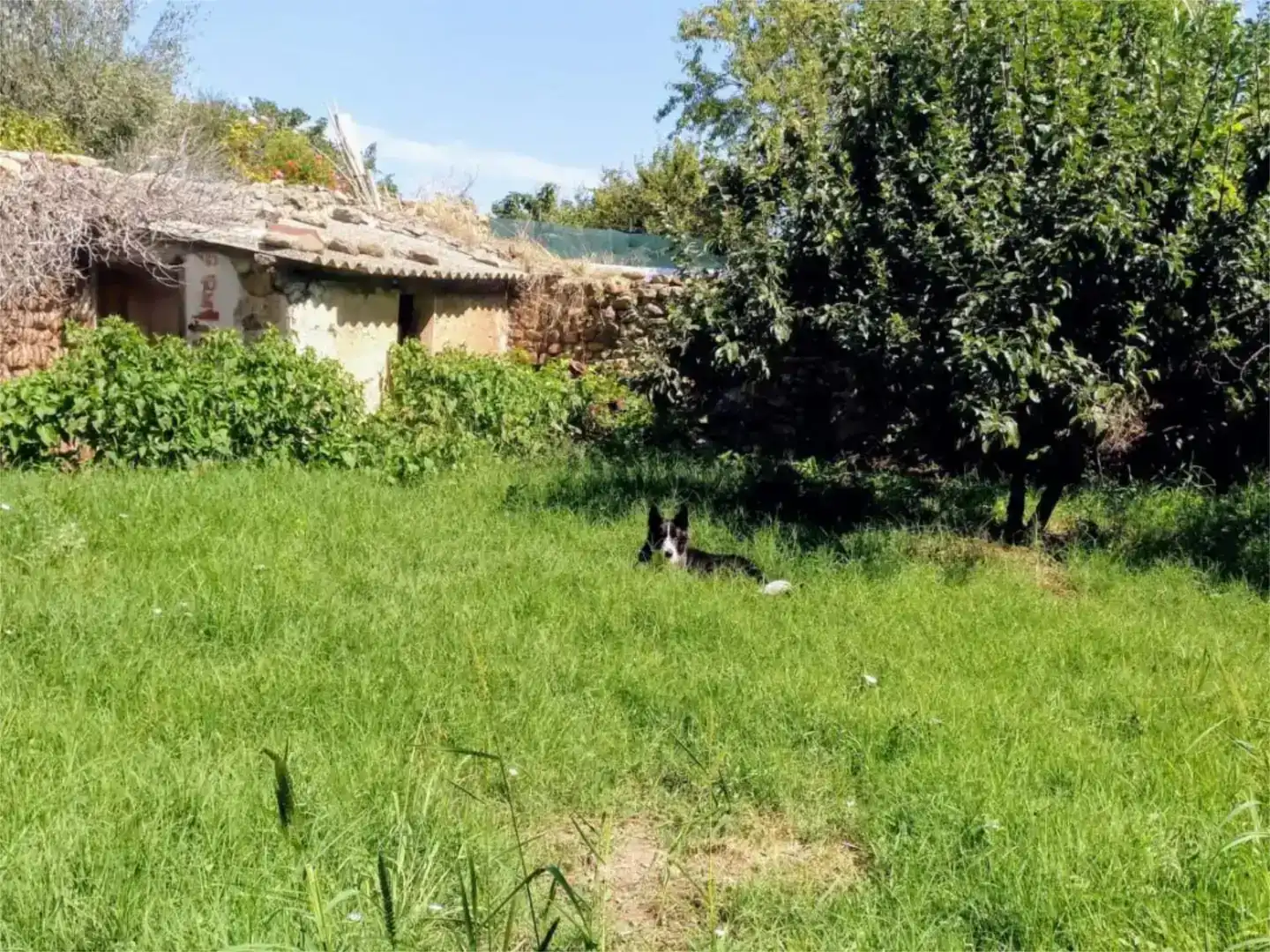 Casa o xalet en venda en Lagunilla del Jubera