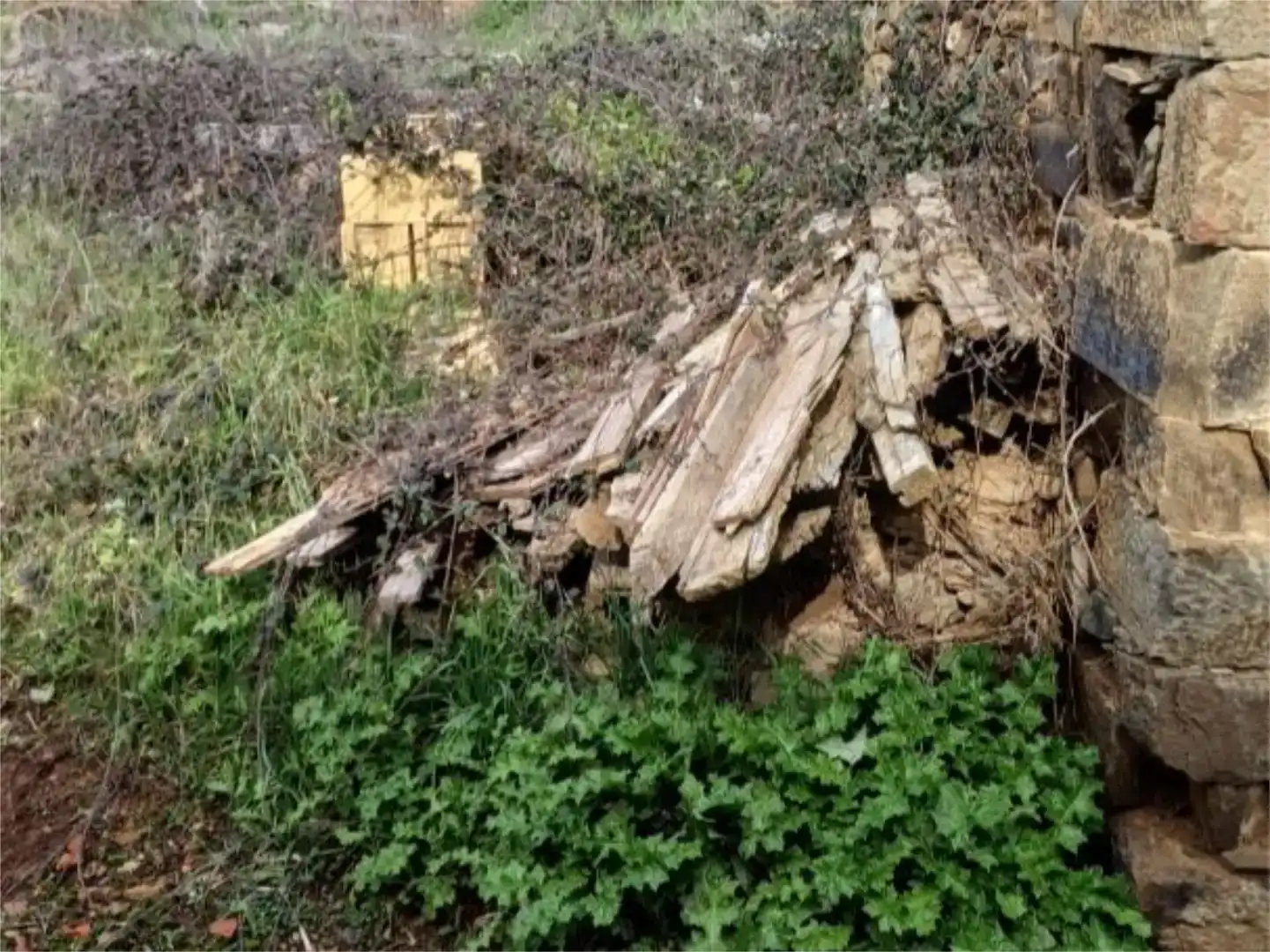 Vista exterior de Finca rústica en venda en Soto y Amío, León