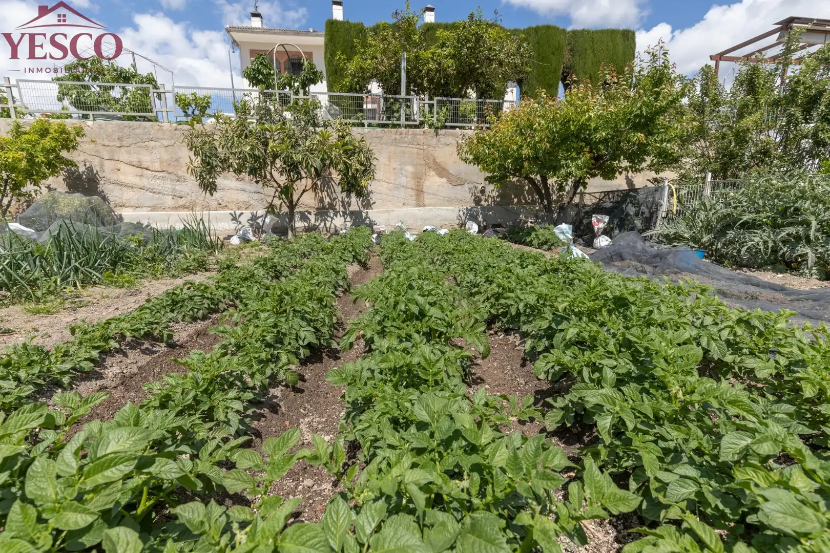 Jardín de Casa adosada en venta en Víznar con Jardín privado, Terraza y Piscina