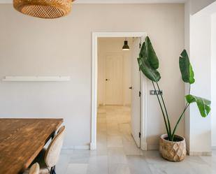 Flat to rent in  Cádiz Capital  with Terrace and Pets allowed