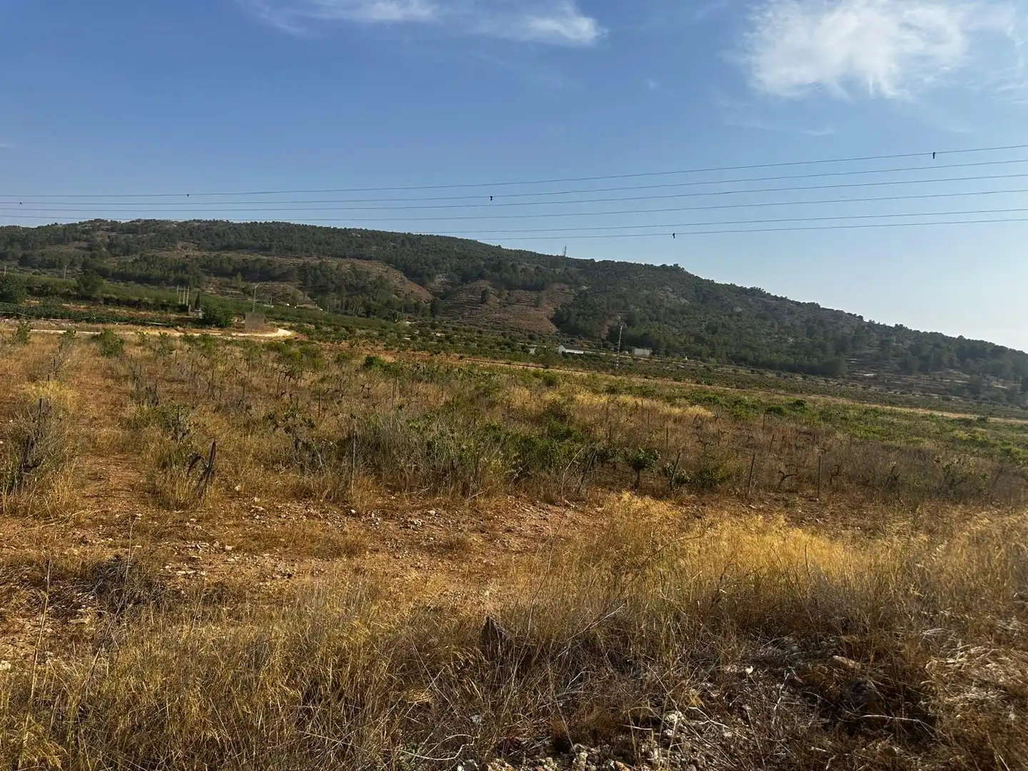 Terreno residencial en venta en El Pinós / Pinoso, imagen 10