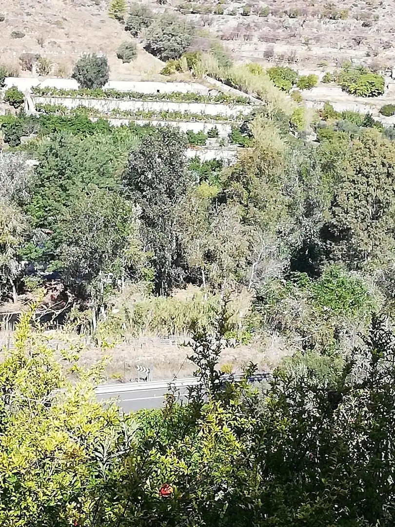 Casa rústica amb jardí en venda a Vélez de Benaudalla, imagen 29