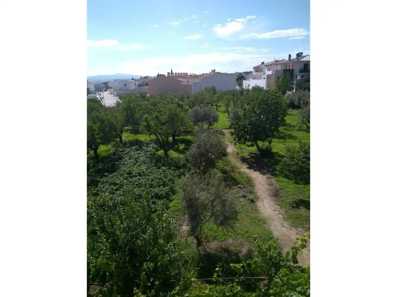 Chalet en venta en Baza, imagen 13