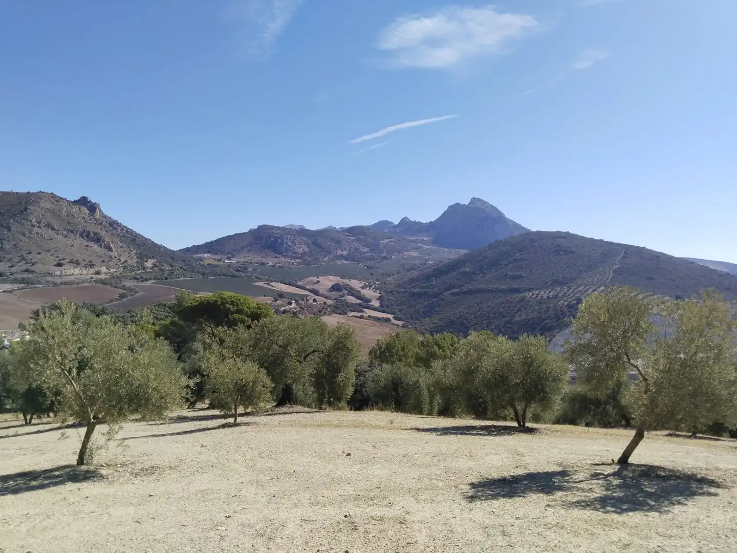 Terrenys i solars en venda a Zona de la Vega, imagen 8
