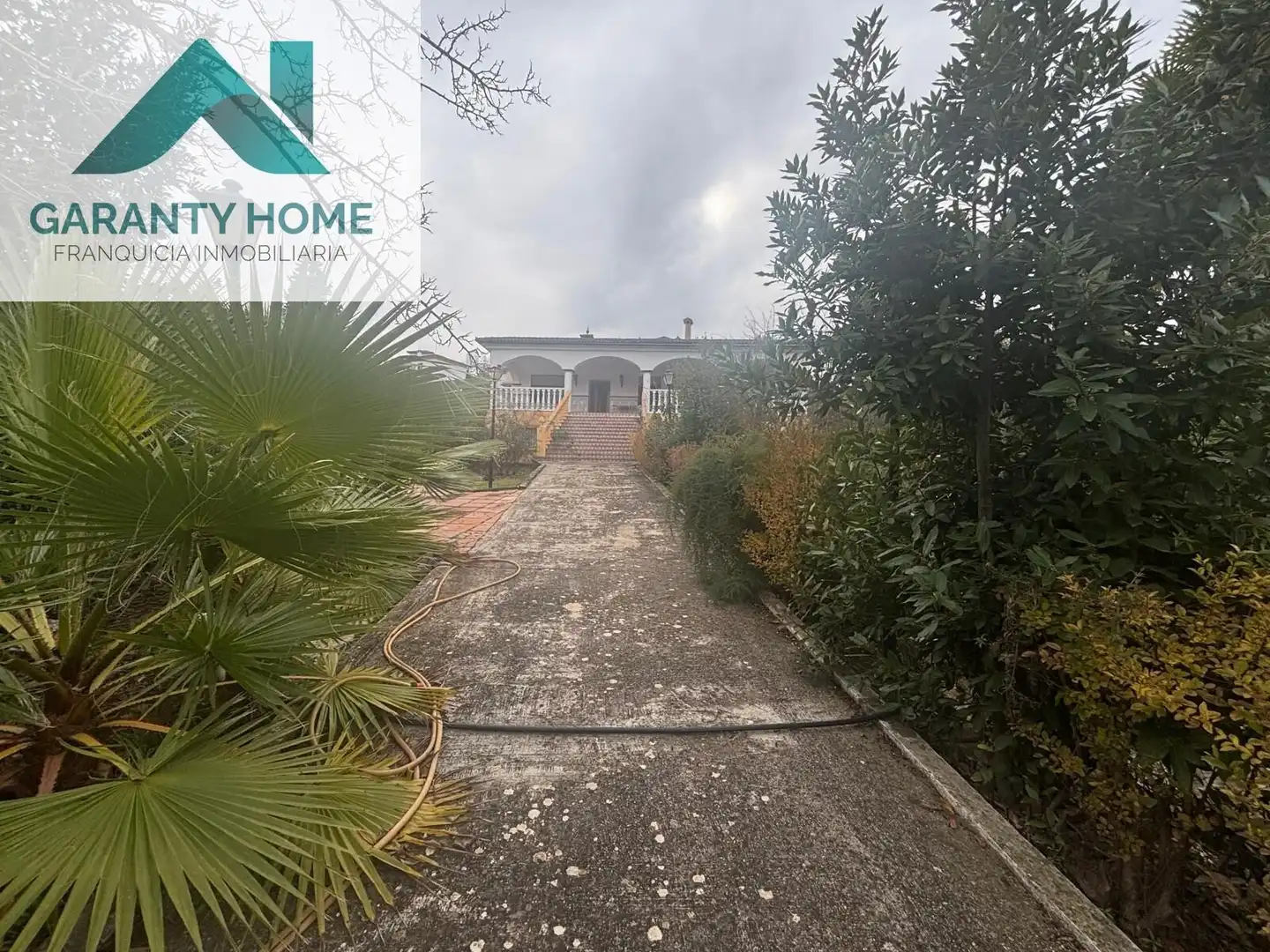 Vista exterior de Casa o chalet en venta en Rute con Jardín privado, Piscina y Amueblado