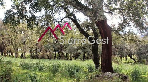 VENTA FINCA RÚSTICA CORTES DE LA FRA., imatge 4