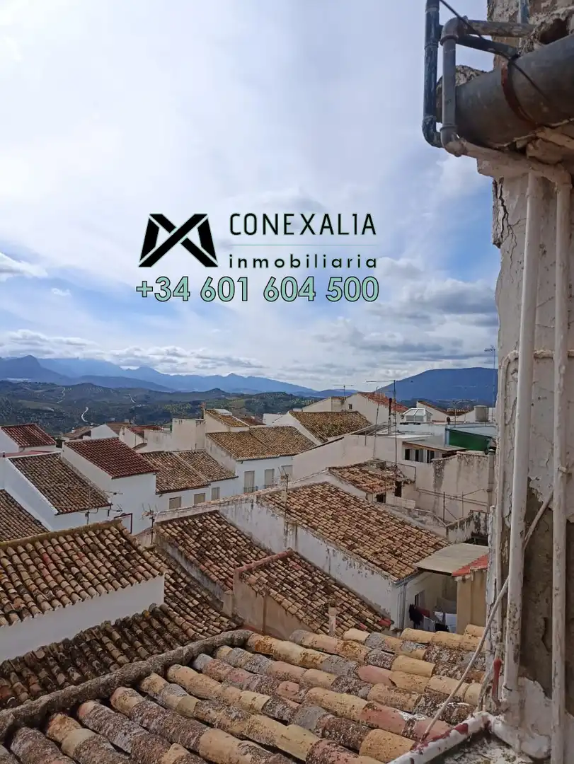 Vista exterior de Casa o chalet en venta en Olvera con Terraza