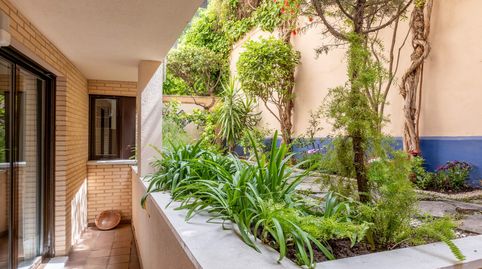 Foto 3 de Dúplex en venta en Paseo Ruiseñores, Ruiseñores, Zaragoza Capital