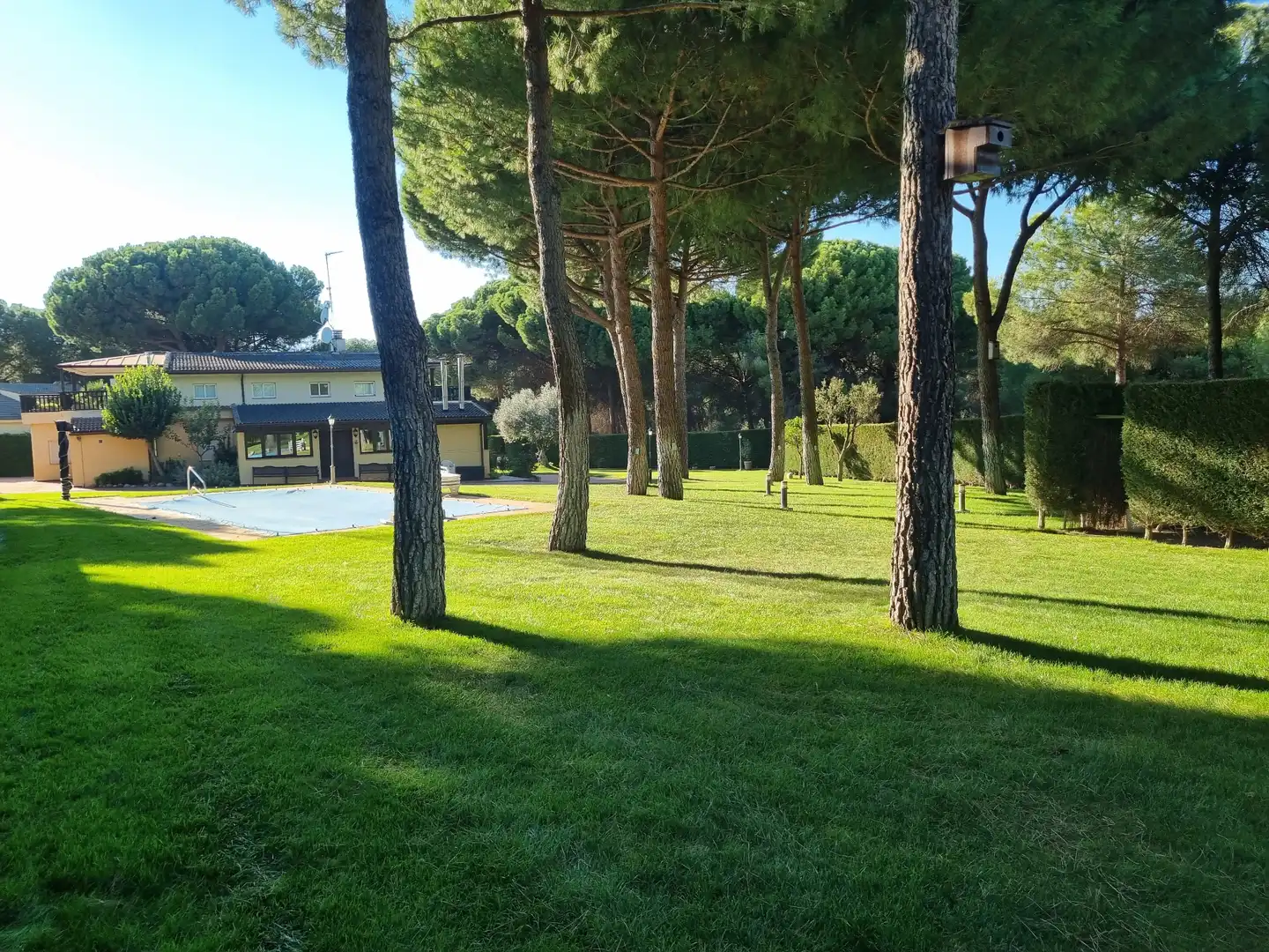 Garden of Houses for sale in Laguna de Duero  with Terrace, Storage room and Swimming Pool